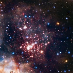 Meet your Posher, Sienna